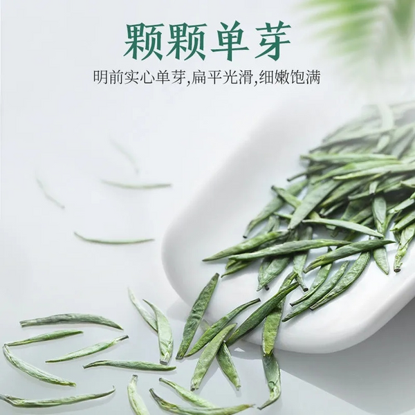 HelloYoung Green Tea Gift Box China Organic Jin Tan Que She Hand Picked Sparrow Tongue 50g