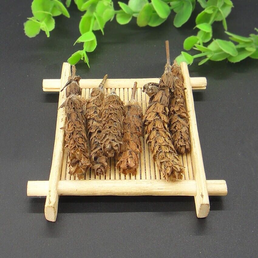 HelloYoung 夏枯草 Xia Ku CaoPrunella Vulgaris Chinese herbs Common selfhe Spica Prunellae Main image