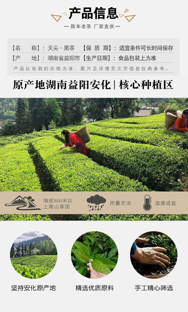 HelloYoung TIAN JIAN * Old Tea Yiyang Anhua Dark Tea Loose Leaf Chinese Tea HEI CHA 250g