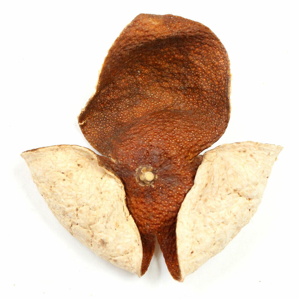 HelloYoung XinHui "Chen Pi" TianMa Producing Area Green Dried Tangerine Peel Tea 50g