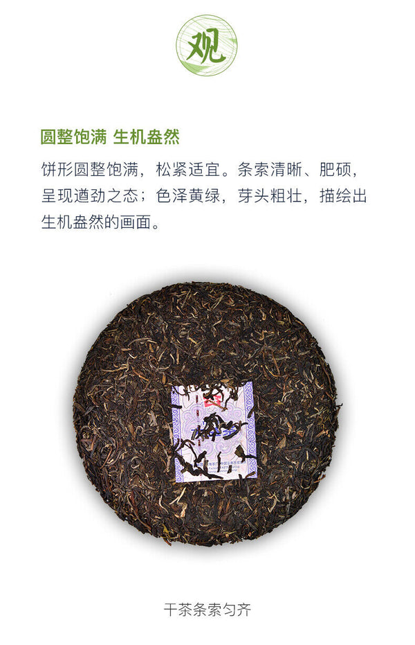 HelloYoung TAETEA MI XIANG * Menghai Dayi Raw Pu'er Tea Cake Organic Pu-erh Tea 300g