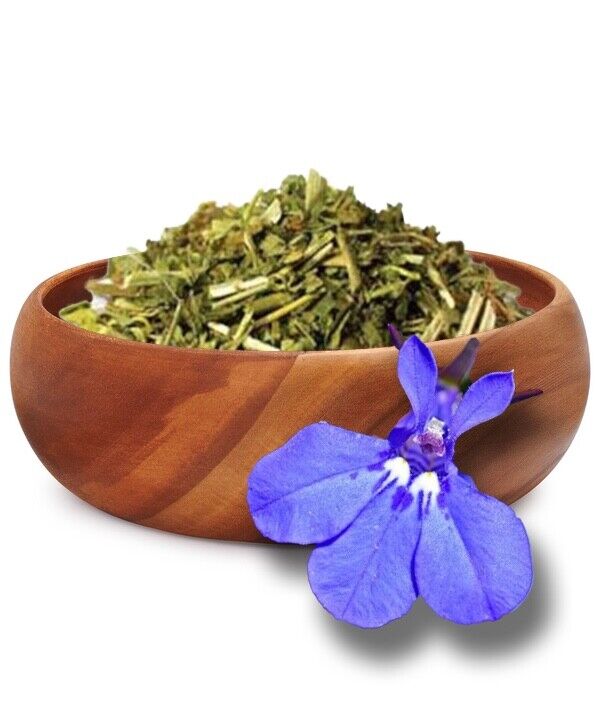 Lobelia Herb Dried c/s Lobelia inflata 500g Apothecary Herbal