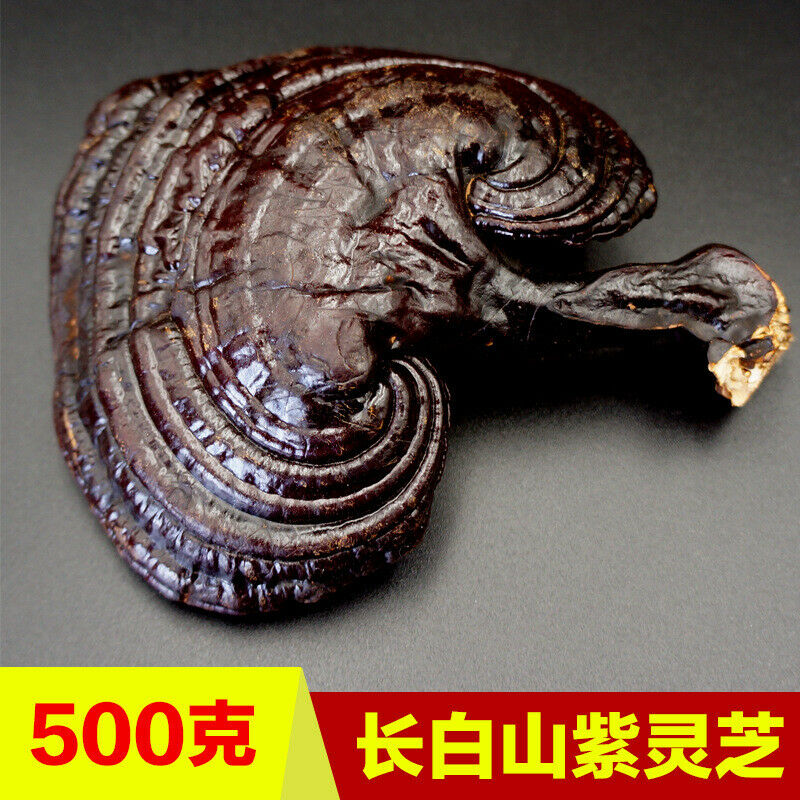 HelloYoung 500g Reishi Soup Purple Ganoderma Lucidum Wild Lingzhi Mushroom Herbs Secondary image