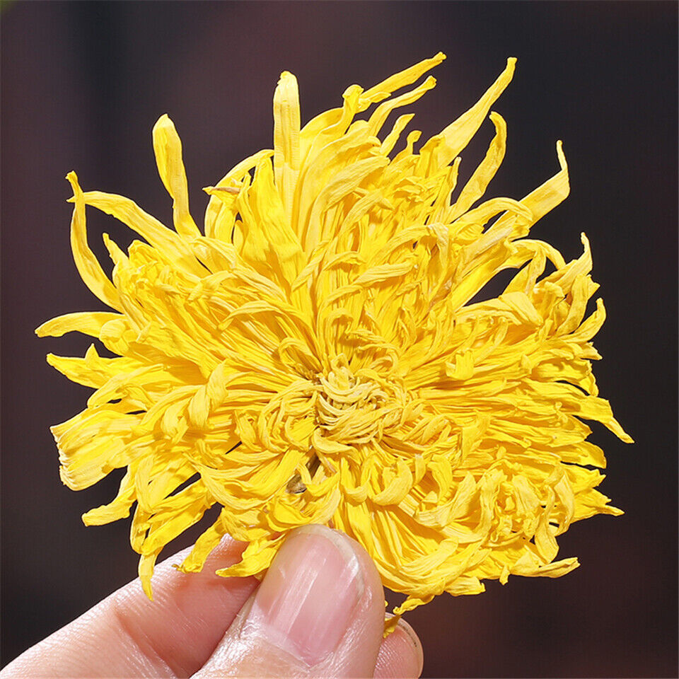 HelloYoung 100 Blooms Chrysanthemum Tea Flower Blossom Cooling Healing Golden Floral Tea