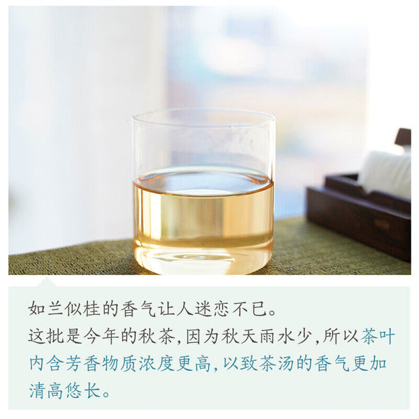 HelloYoung 250g/500g Fujian Shui Hsien Oolong Tea Zhang Ping Shui Xian Mini Tea Brick China