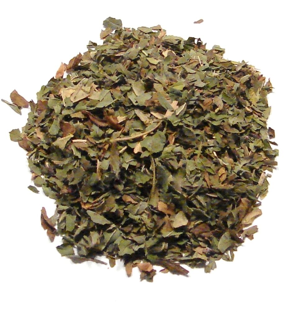 Peppermint Tea - 1 Pound - American Grown Natural Botanical Herbs Main image