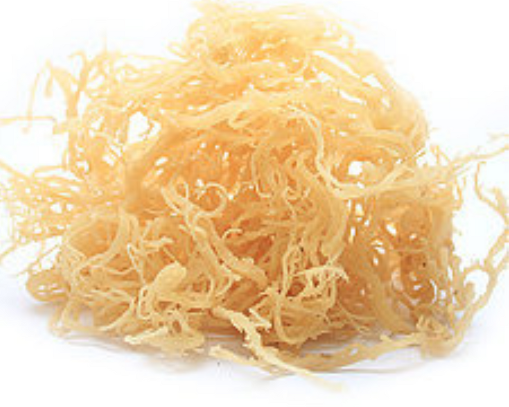 Organic Whole Leaf Irish Moss Sea Moss 8 Oz | Raw WildCrafted Superfood