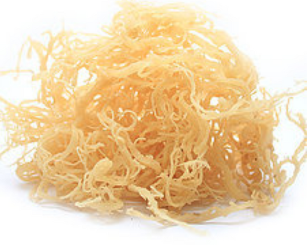 Organic Whole Leaf Irish Moss Sea Moss 8 Oz | Raw WildCrafted Superfood