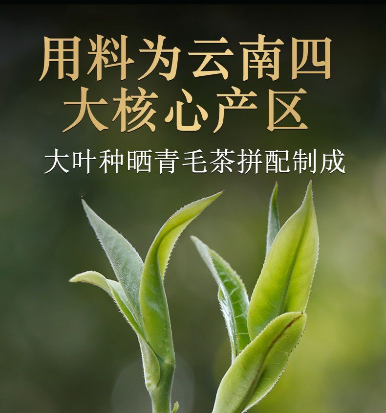 HelloYoung DALI Tuocha Yunnan Xiaguan Shu Pu-erh Tea Pu'er Ripe Puer Tea 100g Boxed