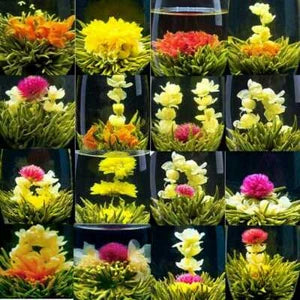 TemuTea Blooming Tea Balls Blooms Chinese Green Tea 16 Type Handmade Blooming Flower Tea
