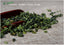 HelloYoung Anxi Tie Guan Yin Tea Chinese Oolong Tea Tieguanyin Qingxiang High Mountain 250g