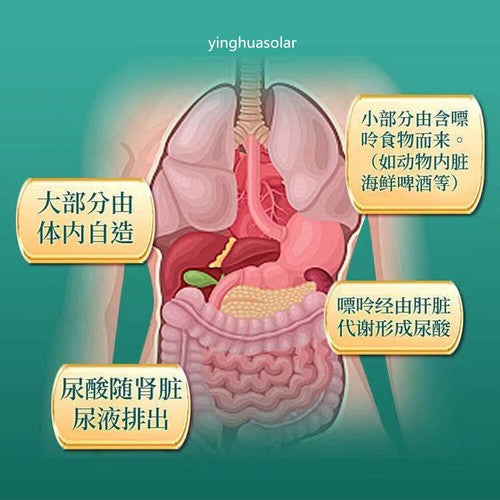 HelloYoung 同仁堂菊苣茶 Herbal Tea Natural Urate Lowering Uric Acid Hypoglycemic Lipid-Lowering