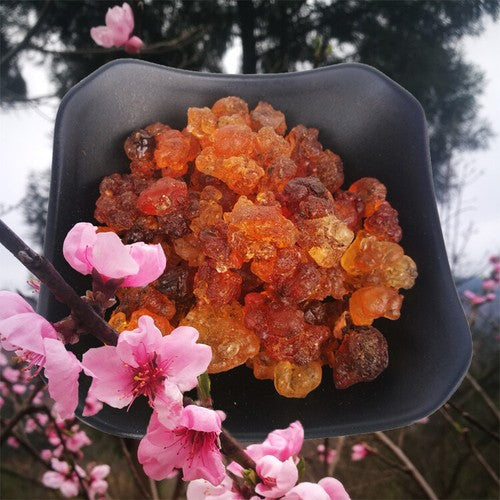 Wild Organic Nourishing TaoJiao Peach Resin Gum Jelly Edible Health Care