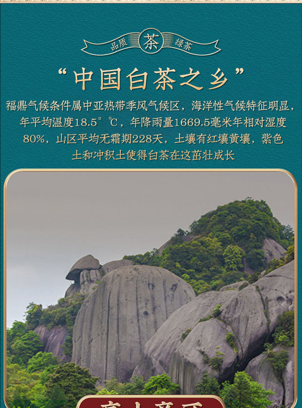 HelloYoung White Hairs Silver Needle Fuding White Tea Spring Tea Ming Qian First Pick 50g