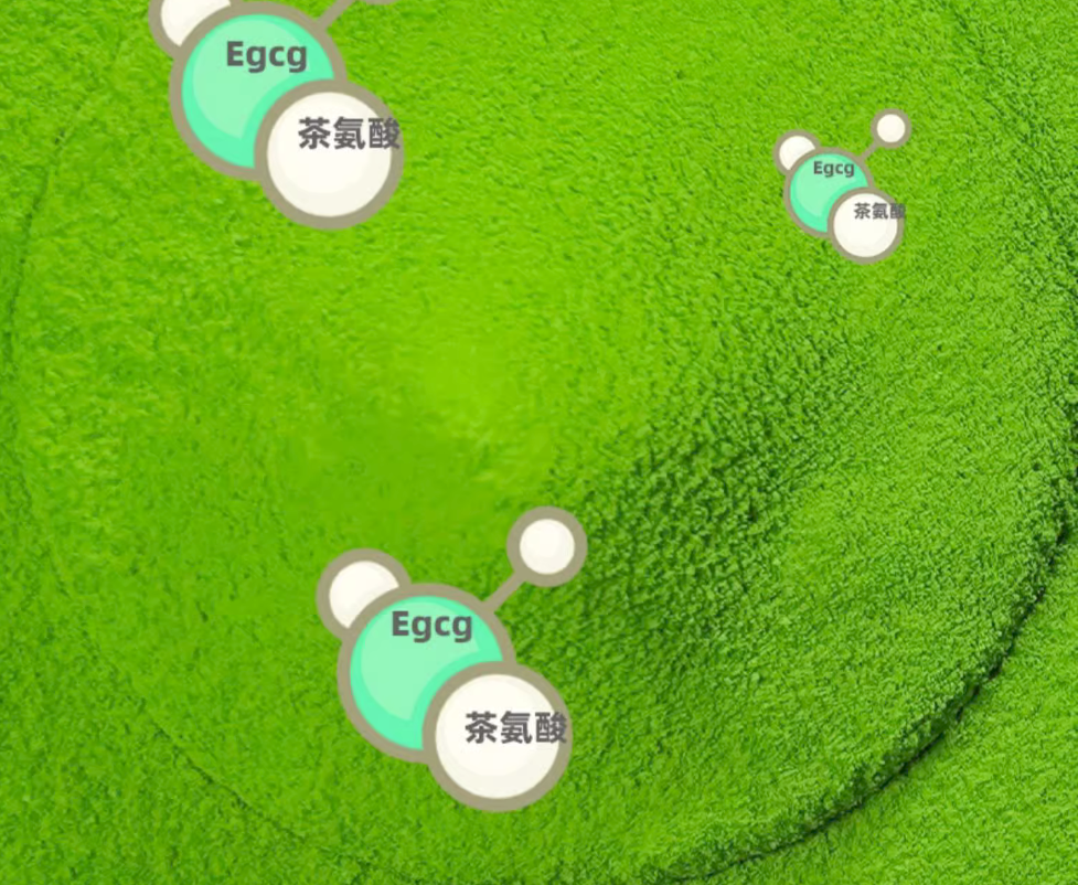 TEA DOUBLE GREEN MATCHA, Tea ORGANIC GREEN JAPANESE MATCHA 250g Secondary image
