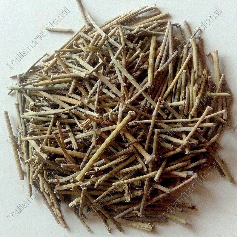 HelloYoung Lot Somlata Gerard Jointfir Khanta Asmania Gerardiana Herb Branch Stem Herbal