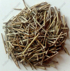 HelloYoung Lot Somlata Gerard Jointfir Khanta Asmania Gerardiana Herb Branch Stem Herbal