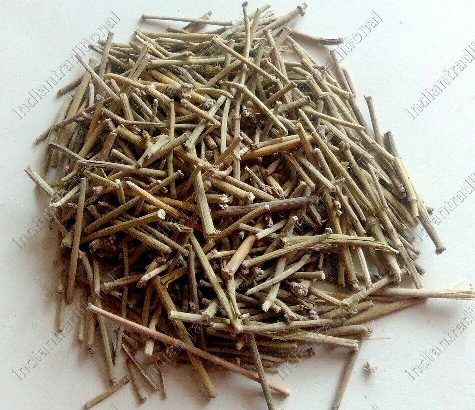 HelloYoung Lot Somlata Gerard Jointfir Khanta Asmania Gerardiana Herb Branch Stem Herbal