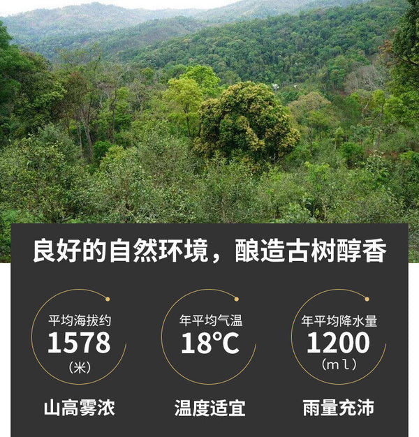 HelloYoung TeaDr. Pu'er Tea Yunnan Black Tea Ancient Tree Dian Hong Brick DianHong 250g
