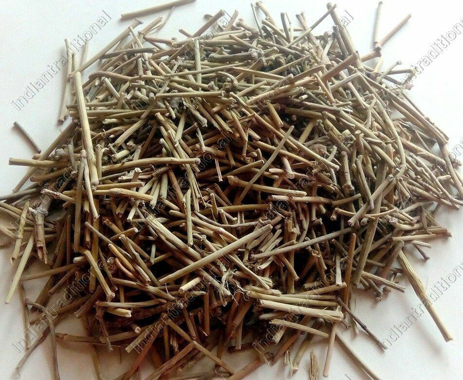 HelloYoung Lot Somlata Gerard Jointfir Khanta Asmania Gerardiana Herb Branch Stem Herbal